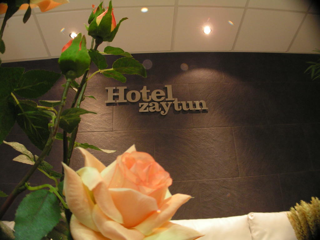 Hotel Zaytun Mequinenza Exterior photo